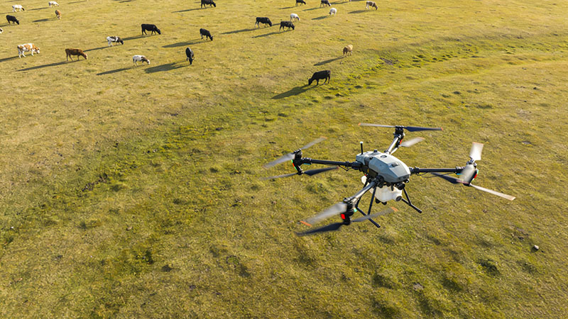 2026年无人机就业前景如何？行业风口下十大黄金赛道与新兴职业全景解析