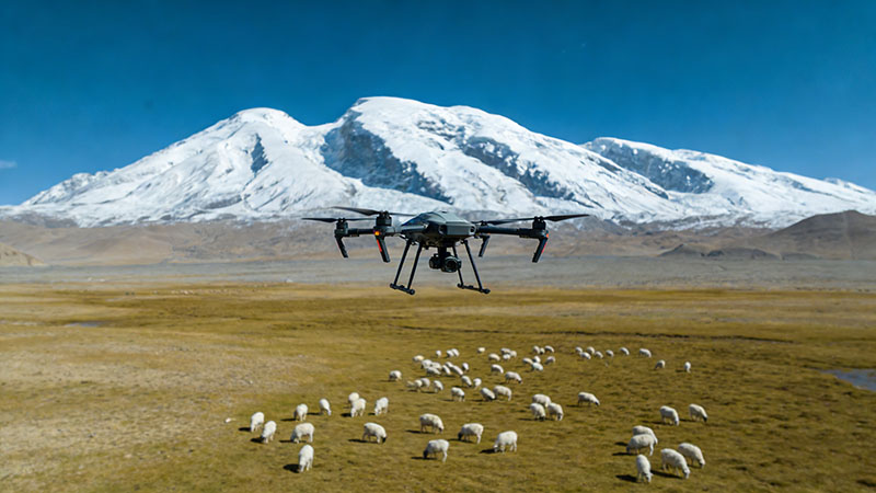 2026年湖南无人机培训选哪家？长沙机构排名及趋势分析（附权威排名与选择指南）