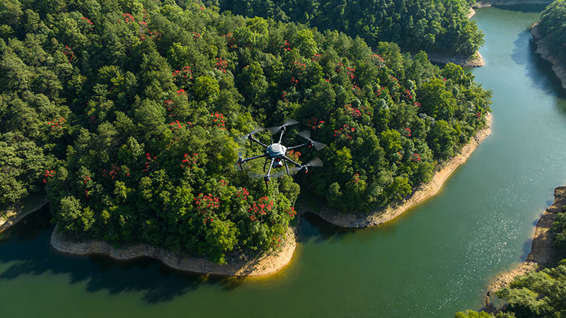 2026年湖南无人机驾驶证培训费用是多少？最新报考条件、流程及政策全解析