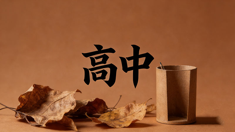 考不上高中真的就没有未来了吗？绝命毒师还是逆袭剧本？打破焦虑+野路子生存指南！