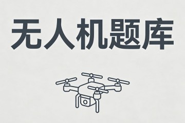 下列哪种规划是任务规划的主体核心？