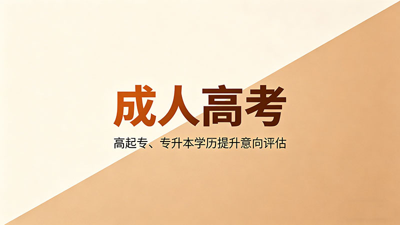 成人高考考什么？精选热门科目全解析与备考干货
