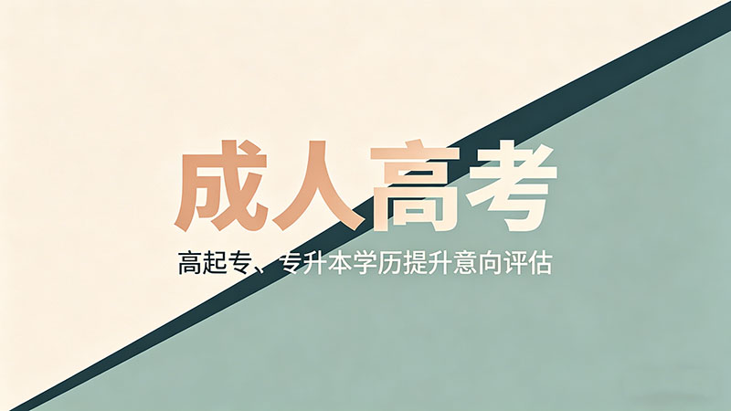 成人高考怎么复习？热门备考策略一线与小城大不同