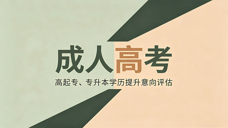 成人高考内容考什么？三科备考策略实用干货精讲