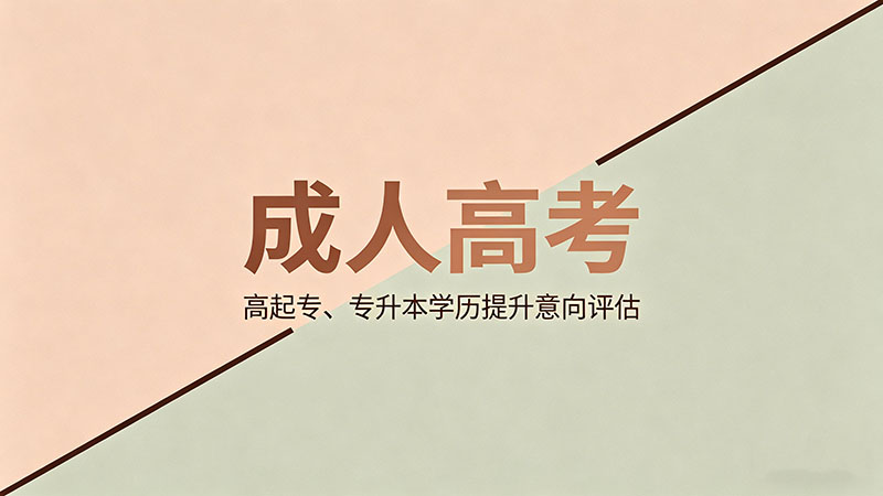 成人高考怎么加分？热门避坑指南与政策全解读