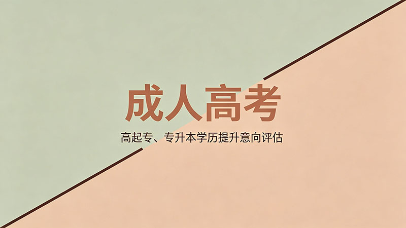 成人高考学历有用吗？推荐必看一线与二三线真实就业反馈