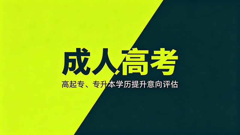 成人高考报什么专业？精选热门专业推荐指南？