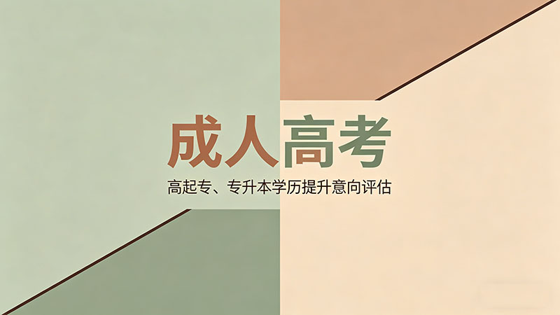 成人高考考什么内容？热门备考干货全解析
