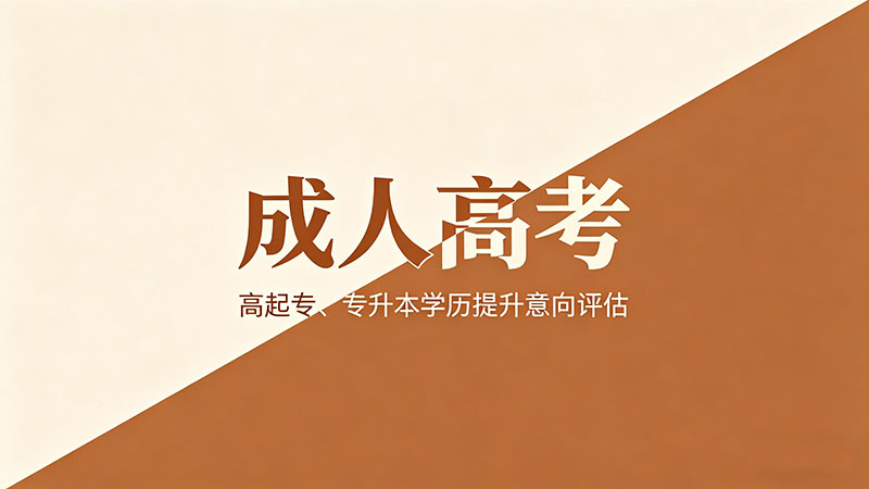 成人高考什么阅卷好用？精选实用答题技巧全解