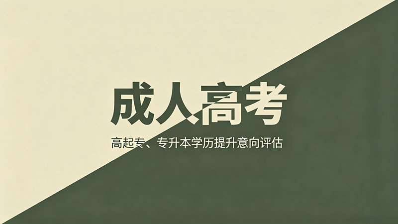 成人高考专用什么笔？实用文具准备指南
