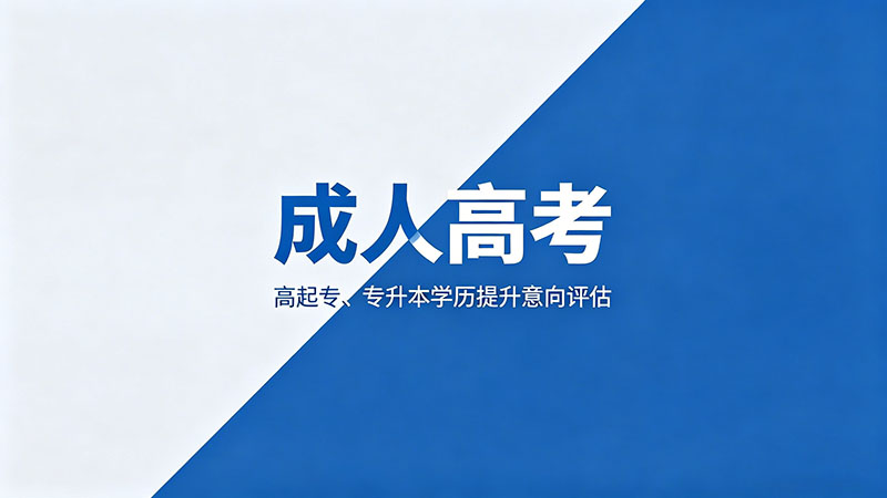 什么是成人高考政治？热门必备考点解析