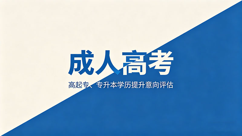 成人高考文科包含什么？热门精选科目解析