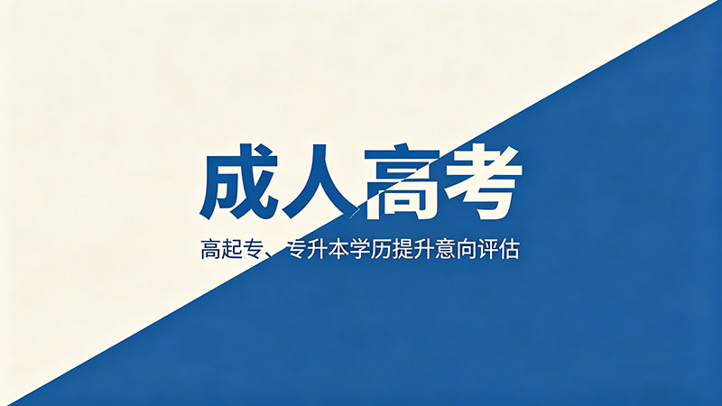 菏泽成人高考什么文凭？热门实用学历解析