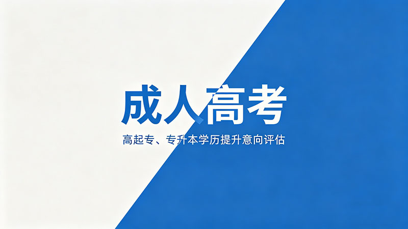成人高考报什么类别？热门精选类别指南