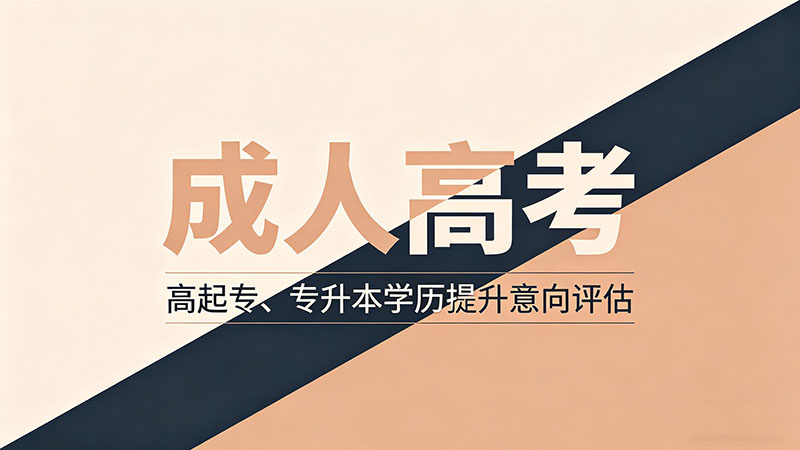 成人高考提升什么最好？精选提升方向推荐
