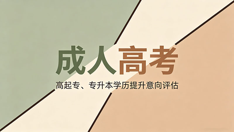 成人高考有什么选择？热门实用院校专业选择指南
