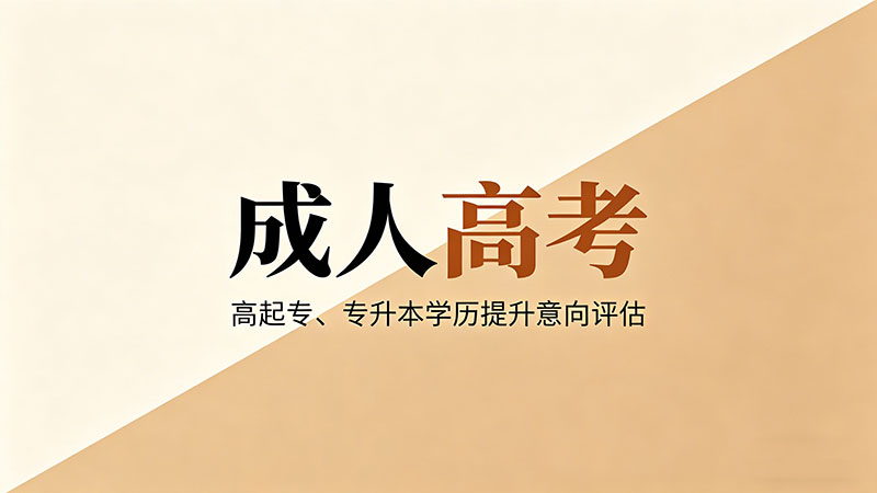 成人高考什么专业可以当老师？热门推荐与考编全攻略