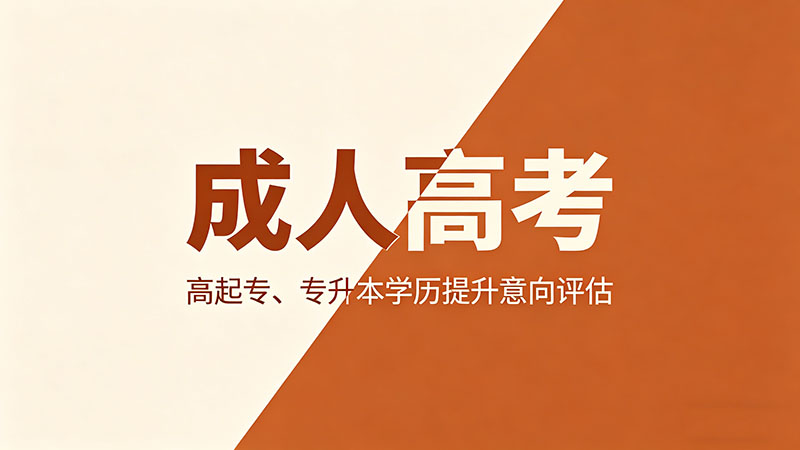 成人高考论文难不难写？热门实用写作攻略与模板指南