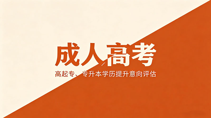 成人高考能不能考编制？热门实用考编资格与岗位全解析