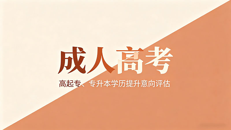 成人高考实践课是什么？比笔试简单多了？