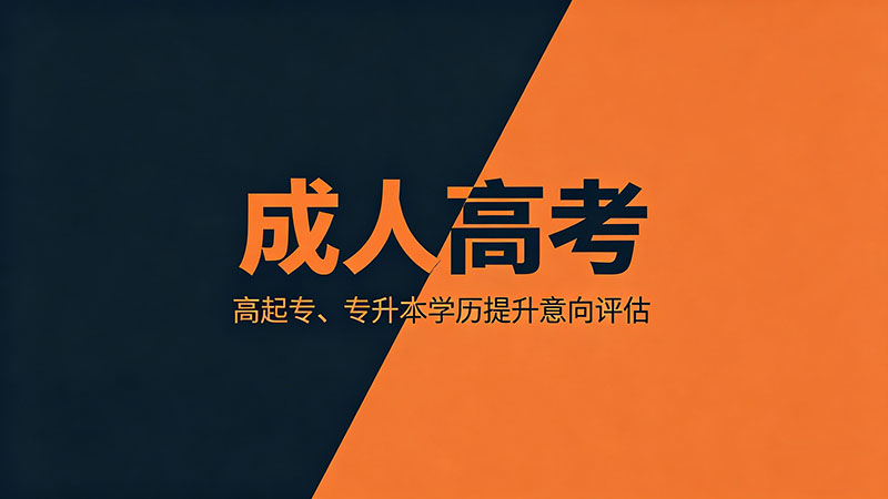 成人高考怎样选专业？不同人群的最优解完全不同