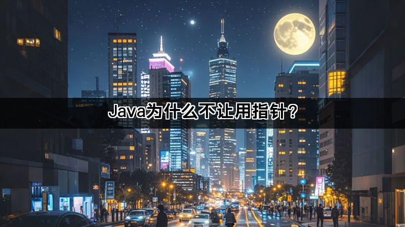 Java为什么不让用指针？(图1)