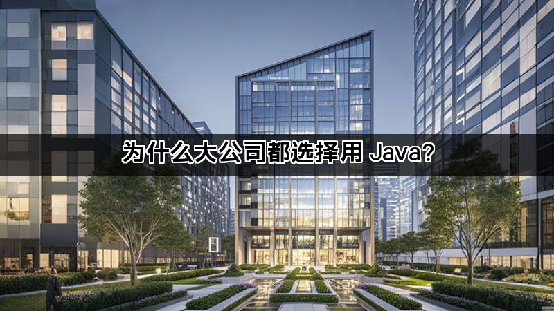 为什么大公司都选择用 Java？(图1)
