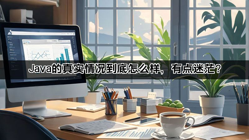 Java的真实情况到底怎么样，有点迷茫?(图1)