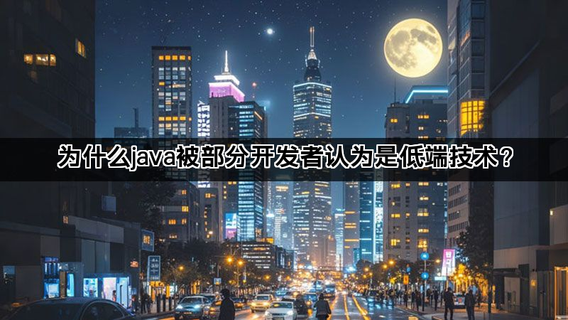 为什么java被部分开发者认为是低端技术？(图1)